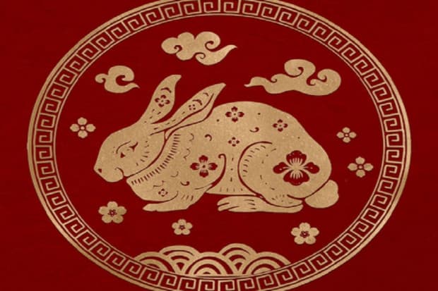 Makna Shio Kelinci Air di Imlek 2023, Suka Bersosialisasi dan Berpesta Makna Shio Kelinci Air di Imlek 2023, Suka Bersosialisasi dan Berpesta