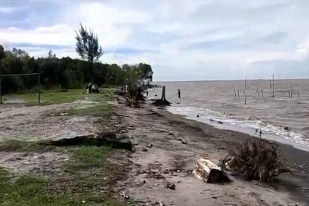 Miris! Desa Kuala Besar Langkat Terancam Tenggelam Akibat Abrasi Miris! Desa Kuala Besar Langkat Terancam Tenggelam Akibat Abrasi