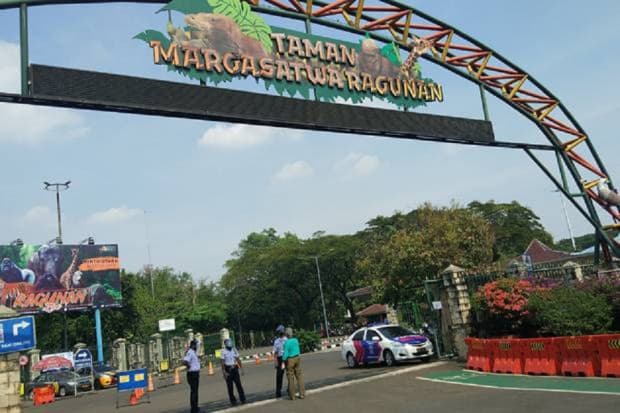 DKI Kucurkan Dana Rp130 Miliar untuk Percantik Taman Margasatwa Ragunan DKI Kucurkan Dana Rp130 Miliar untuk Percantik Taman Margasatwa Ragunan