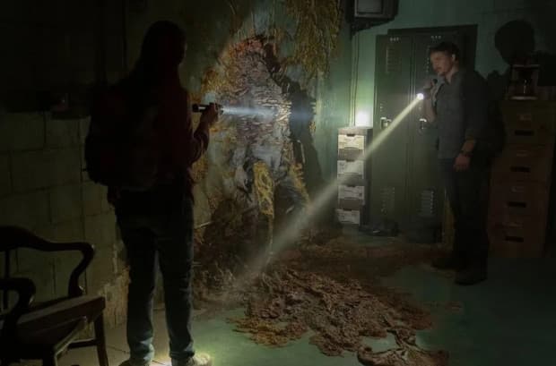 Seperti Serial Zombie The Last of Us, Jamur Ternyata Bisa Ngobrol hingga 50 Kata Seperti Serial Zombie The Last of Us, Jamur Ternyata Bisa Ngobrol hingga 50 Kata