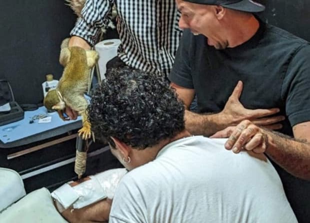 Viral! Influencer Ini Sukses Jadi Pria Pertama yang Ditato oleh Monyet Viral! Influencer Ini Sukses Jadi Pria Pertama yang Ditato oleh Monyet