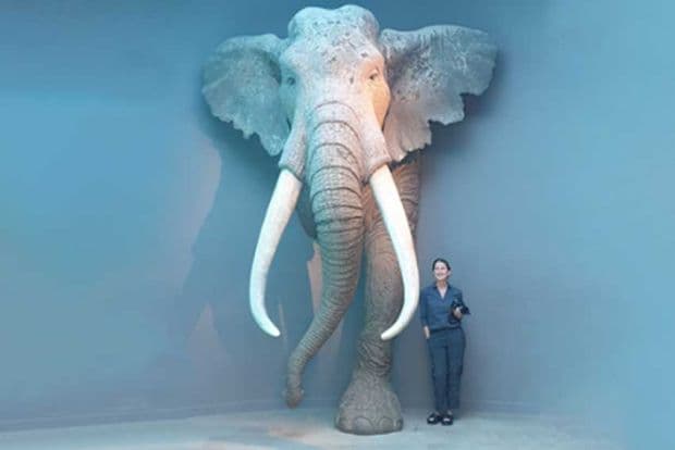 Begini Penampakan Gajah Raksasa yang Hidup 125.000 Tahun Lalu, Tinggi 4 Meter dan Berat 4 Ton