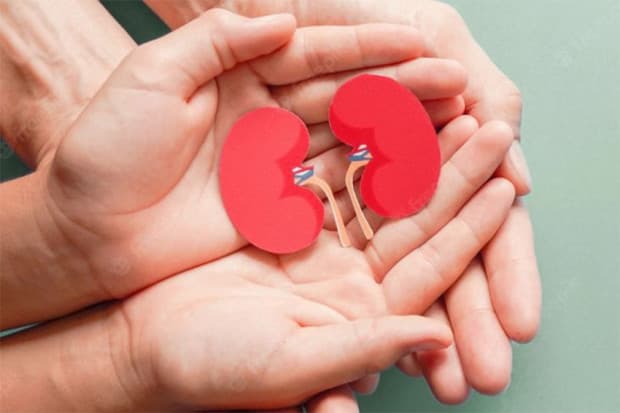 Apa yang Dirasakan Penderita Gagal Ginjal? Ini 7 Tanda yang Harus Diwaspadai Apa yang Dirasakan Penderita Gagal Ginjal? Ini 7 Tanda yang Harus Diwaspadai