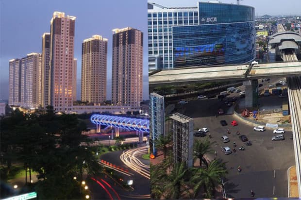 Ini Perbedaan Kelapa Gading dan Gading Serpong, Sudah Tahu Belum? Ini Perbedaan Kelapa Gading dan Gading Serpong, Sudah Tahu Belum?
