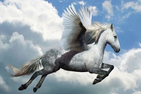 Legenda Sembrani, Kuda Bersayap Tunggangan Sultan Agung ke Makkah Legenda Sembrani, Kuda Bersayap Tunggangan Sultan Agung ke Makkah