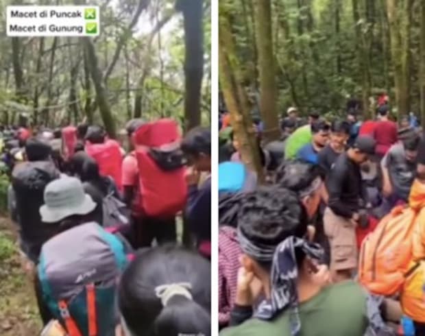 Viral! Jalur Pendakian Gunung Gede via Putri Macet, Netizen: Jadi Nggak Takut Hantu Viral! Jalur Pendakian Gunung Gede via Putri Macet, Netizen: Jadi Nggak Takut Hantu