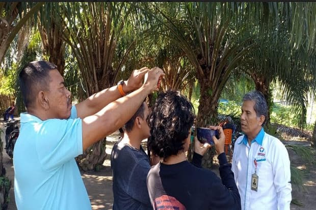 Pupuk Langka dan Mahal, Ombudsman Temukan Ratusan Ton Pupuk Bersubsidi Tertimbun di Gudang Pupuk Langka dan Mahal, Ombudsman Temukan Ratusan Ton Pupuk Bersubsidi Tertimbun di Gudang