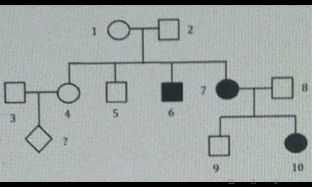 10 Urutan Silsilah Keluarga yang Harus Kamu Tahu 10 Urutan Silsilah Keluarga yang Harus Kamu Tahu
