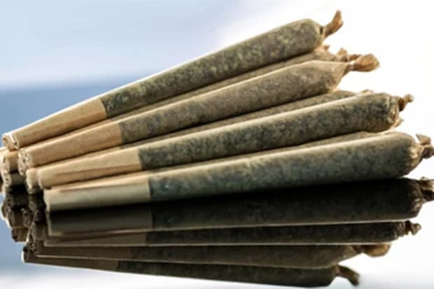 Apakah Rokok Herbal Lebih Aman Dikonsumsi? Apakah Rokok Herbal Lebih Aman Dikonsumsi?