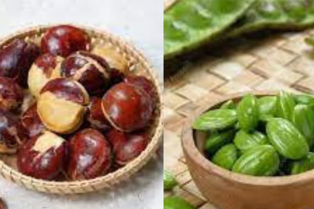 Pete vs Jengkol, Mana yang Lebih Sehat? Ini Jawabannya Pete vs Jengkol, Mana yang Lebih Sehat? Ini Jawabannya