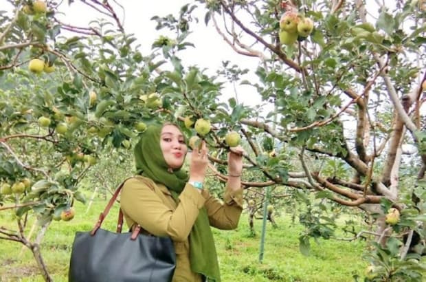 3 Destinasi Agrowisata di Malang, Nomor Terakhir Lengkap Fasilitas Rekreasinya 3 Destinasi Agrowisata di Malang, Nomor Terakhir Lengkap Fasilitas Rekreasinya