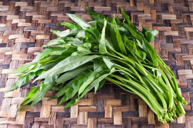 Apakah Kangkung Menyebabkan Asam Urat? Simak Penjelasannya di Sini Apakah Kangkung Menyebabkan Asam Urat? Simak Penjelasannya di Sini
