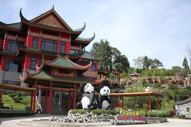 Cara Murah ke Taman Safari Bogor Naik Transportasi Umum Cara Murah ke Taman Safari Bogor Naik Transportasi Umum
