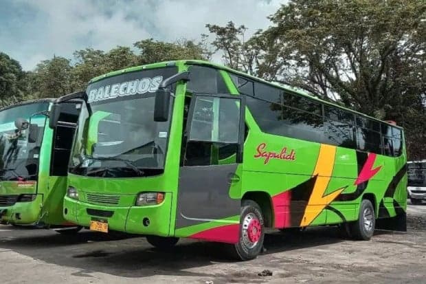 9 PO Bus Populer di Kalimantan, Hadirkan Fasilitas Mewah dan Rute Beragam 9 PO Bus Populer di Kalimantan, Hadirkan Fasilitas Mewah dan Rute Beragam