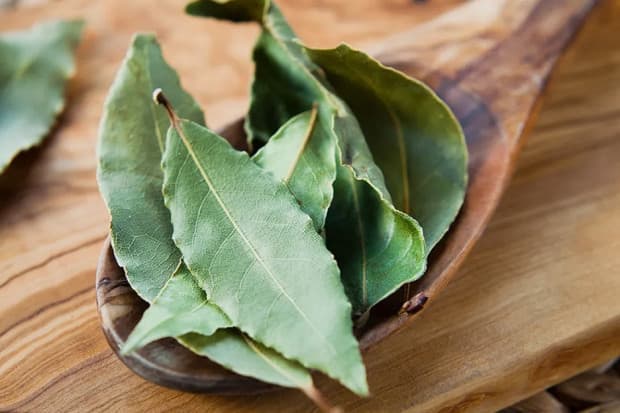 Khasiat Daun Salam untuk Kesehatan, Salah Satunya Mengurangi Risiko Diabetes Tipe 2 Khasiat Daun Salam untuk Kesehatan, Salah Satunya Mengurangi Risiko Diabetes Tipe 2