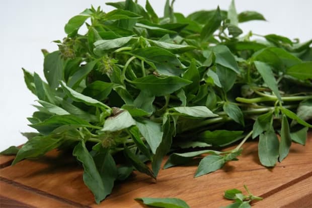 5 Daun Lalapan yang Ternyata Banyak Khasiatnya untuk Kesehatan 5 Daun Lalapan yang Ternyata Banyak Khasiatnya untuk Kesehatan