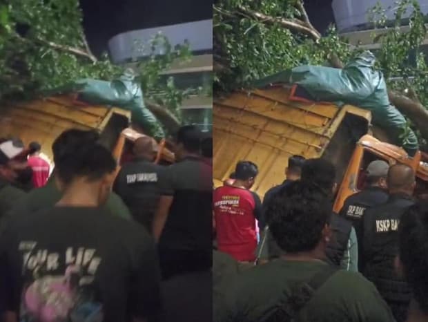 Truk Tabrak Pohon di Dermaga Pelabuhan Bakauheni, Satu Orang Tewas Truk Tabrak Pohon di Dermaga Pelabuhan Bakauheni, Satu Orang Tewas