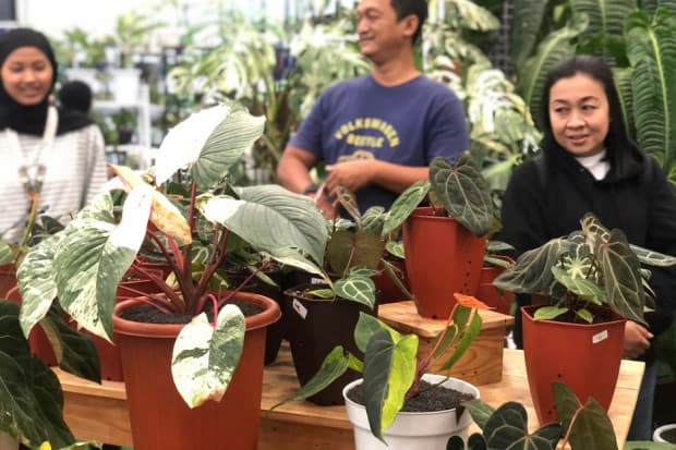 FLOII Expo 2023 Digelar, Pembeli Datang dari Malaysia hingga Amerika FLOII Expo 2023 Digelar, Pembeli Datang dari Malaysia hingga Amerika