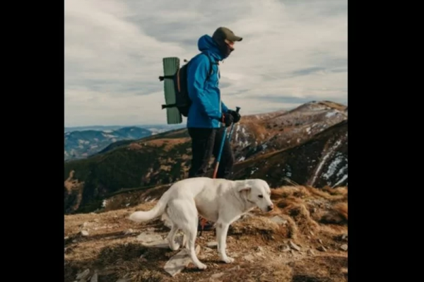 Seekor Anjing Selamatkan Nyawa Pendaki yang Terluka