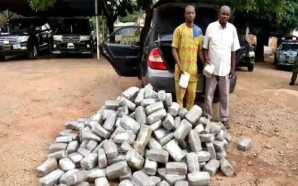 Polisi Tangkap Walikota dan Sita 200 Kg Kokain dari Mobilnya, Miliki Nilai Jual Rp274 Miliar