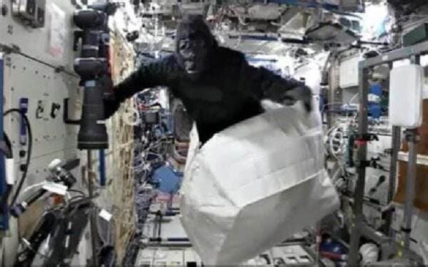 Kisah Gorila Menyelinap Masuk ke Stasiun Luar Angkasa Internasional, Menakut-nakuti Kru