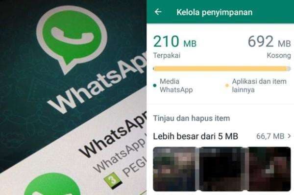 Cara Cepat Membersihkan Cache WhatsApp di Android Biar Ponsel Gak Lemot Cara Cepat Membersihkan Cache WhatsApp di Android Biar Ponsel Gak Lemot