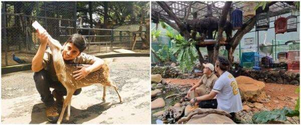 Potret mini zoo di rumah 7 seleb, ada yang luasnya 500 meter persegi Potret mini zoo di rumah 7 seleb, ada yang luasnya 500 meter persegi