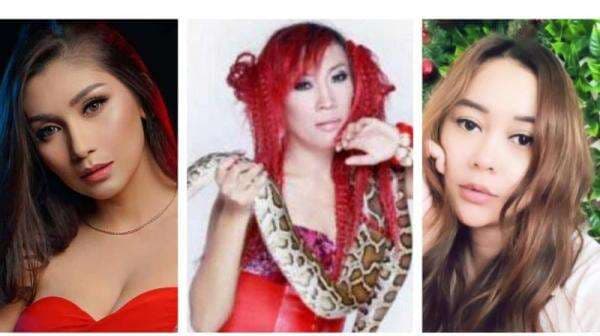 Deretan Artis Cantik Suka Pelihara Ular, Nomor 3 Punya 40 Ekor Deretan Artis Cantik Suka Pelihara Ular, Nomor 3 Punya 40 Ekor