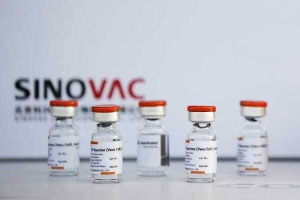 Vaksin Booster Sinovac Aman Bagi Anak Hingga Lansia