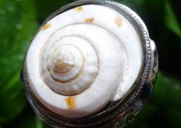 Kesaktian Kol Buntet, Pagar Gaib Penolak Santet hingga Kebal Senjata Tajam Kesaktian Kol Buntet, Pagar Gaib Penolak Santet hingga Kebal Senjata Tajam