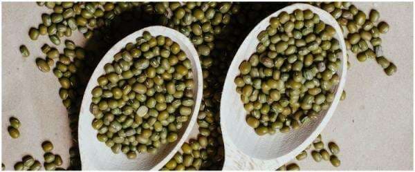 7 Cara praktis menyimpan kacang hijau, tahan lama dan bebas kutu 7 Cara praktis menyimpan kacang hijau, tahan lama dan bebas kutu