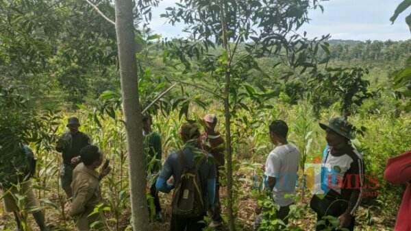 Ramai-Ramai Petakan Hutan untuk Perhutanan Sosial di Tulungagung, Perhutani: Itu Prematur
