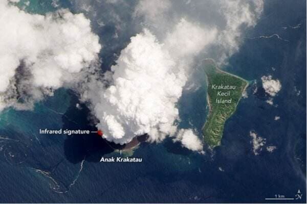 Gunung Anak Krakatau Alami Erupsi, Semua Warga Diimbau Waspada