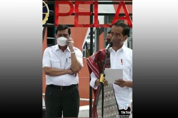 Viral, Luhut Teleponan di Belakang Presiden Jokowi saat Konferensi Pers