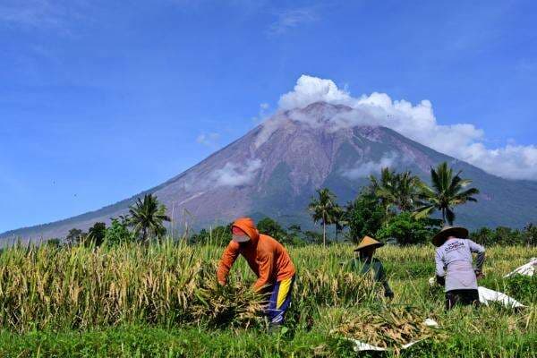 10 Urutan Gunung Tertinggi di Pulau Jawa 10 Urutan Gunung Tertinggi di Pulau Jawa