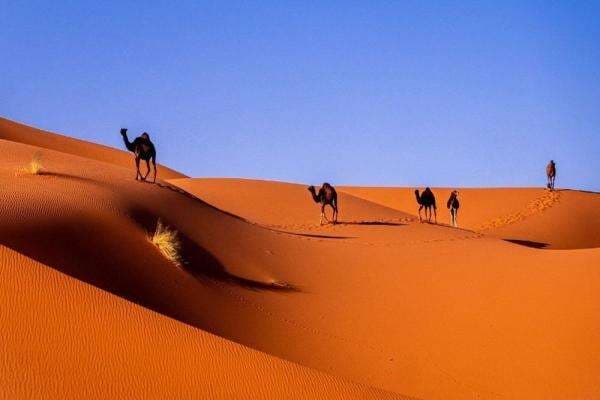 Daftar Gurun Terluas di Dunia, Selain Gurun Sahara Daftar Gurun Terluas di Dunia, Selain Gurun Sahara