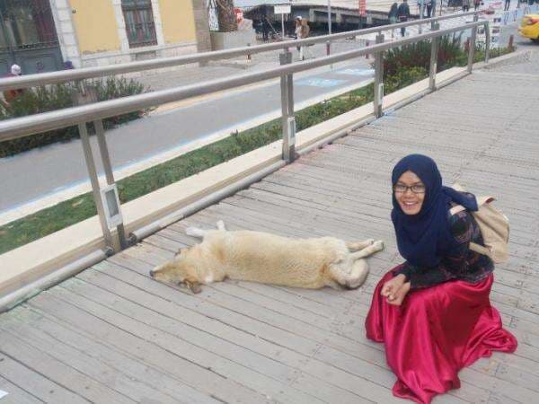 Di Negara Ini, Kamu Bisa Ngasih Makan Anjing Liar Pakai Sampah Plastik! Serius? Di Negara Ini, Kamu Bisa Ngasih Makan Anjing Liar Pakai Sampah Plastik! Serius?