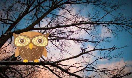 Sayap Burung Hantu Menginspirasi Teknologi Peredam Suara Pesawat dan Turbin Sayap Burung Hantu Menginspirasi Teknologi Peredam Suara Pesawat dan Turbin