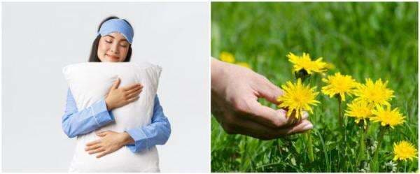 10 Arti mimpi memetik bunga yang perlu diketahui, bawa kebahagiaan 10 Arti mimpi memetik bunga yang perlu diketahui, bawa kebahagiaan