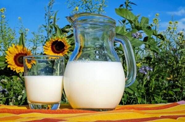 Susu Oat dari Gandum Alternatif Pengganti Susu Sapi, Ini Manfaatnya