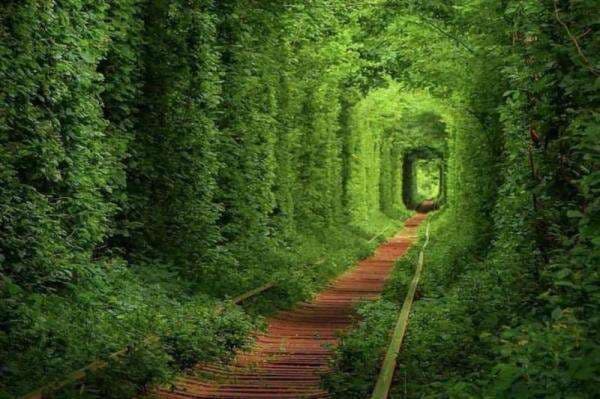 8 Tempat Wisata Menarik di Ukraina, Nomor 1 Cocok untuk Pasangan 8 Tempat Wisata Menarik di Ukraina, Nomor 1 Cocok untuk Pasangan