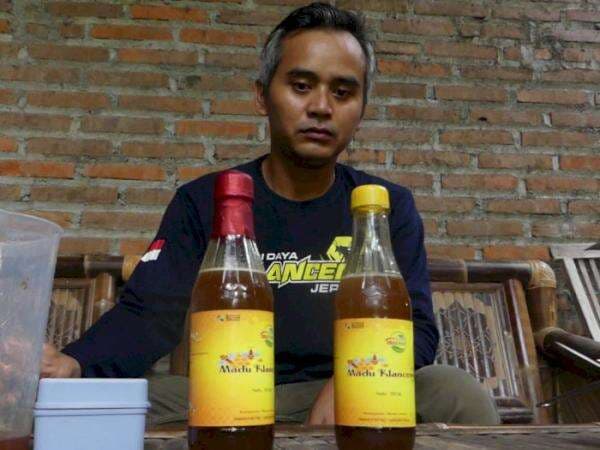 Ide Bisnis! Budidaya Madu Klanceng, Sebulan Cuan hingga Rp12 Juta Ide Bisnis! Budidaya Madu Klanceng, Sebulan Cuan hingga Rp12 Juta