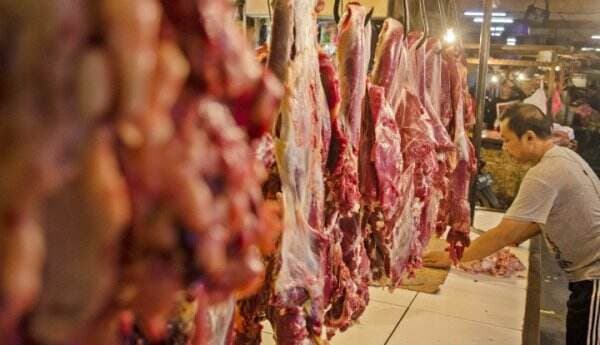 Antisipasi Lonjakan Jelang Ramadan, Bulog Datangkan Daging Impor