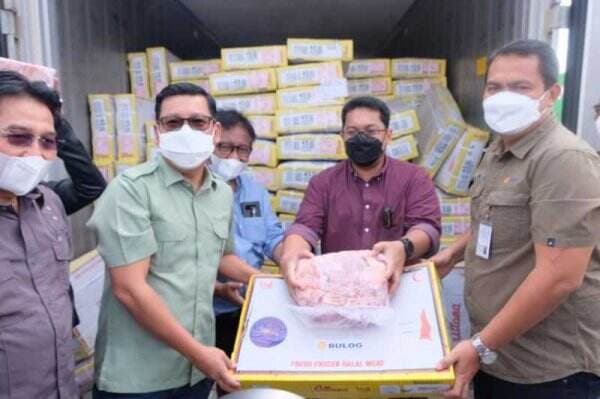 Kepala NFA-Direksi Bulog Pantau Kedatangan Daging Impor di Priok