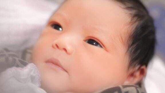 Intip 5 Poret Konsep Photoshoot Newnborn Ameena, di Kotak Hermes hingga Mobil Mewah Intip 5 Poret Konsep Photoshoot Newnborn Ameena, di Kotak Hermes hingga Mobil Mewah