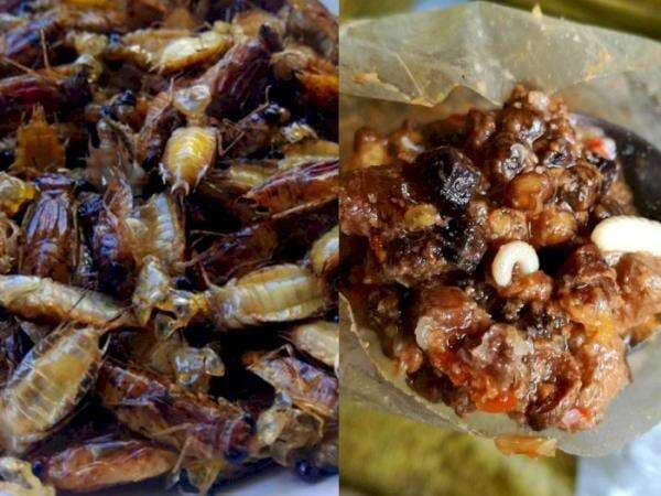 Ragam Olahan Unik dari Serangga, Ada Anak Capung Goreng hingga Botok Lebah, Tertarik Coba? Ragam Olahan Unik dari Serangga, Ada Anak Capung Goreng hingga Botok Lebah, Tertarik Coba?