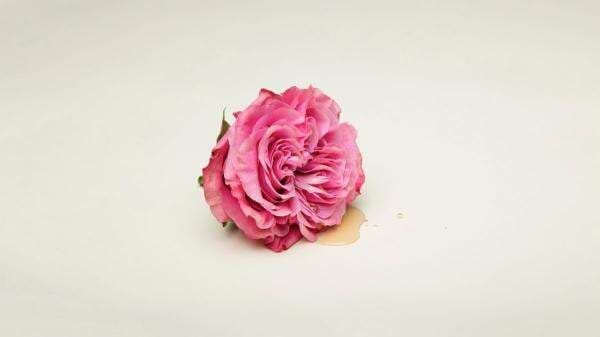 Apa Manfaat Masturbasi Bagi Perempuan dan Pernikahan? Ini Kata Ahli Apa Manfaat Masturbasi Bagi Perempuan dan Pernikahan? Ini Kata Ahli