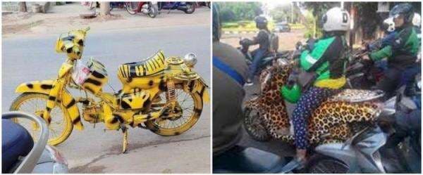 11 Penampakan lucu cat motor ini konsepnya bikin gagal paham 11 Penampakan lucu cat motor ini konsepnya bikin gagal paham
