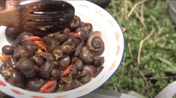 Resep Tutut Kuah Kuning, Sulap Keong Sawah Jadi Nikmat Resep Tutut Kuah Kuning, Sulap Keong Sawah Jadi Nikmat