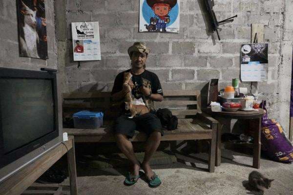 Rumah Sahabat Kocheng, Pernah Dicurigai Jual Kucing Buat Pakan Buaya Rumah Sahabat Kocheng, Pernah Dicurigai Jual Kucing Buat Pakan Buaya